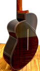 aNueNue LS700E Gitarre
