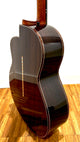 aNueNue LS700E Gitarre