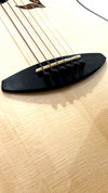 aNueNue LS700E Gitarre
