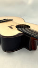 aNueNue LS700E Gitarre