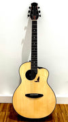 aNueNue LS700E Gitarre
