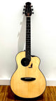 aNueNue LS700E Gitarre