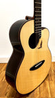 aNueNue LS700E Gitarre