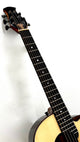 aNueNue LS700E Gitarre