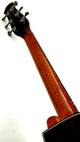 aNueNue LS700E Gitarre