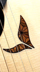 aNueNue LS700E Gitarre