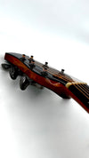 aNueNue LS700E Gitarre