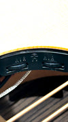aNueNue LS700E Gitarre
