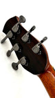 aNueNue LS700E Gitarre