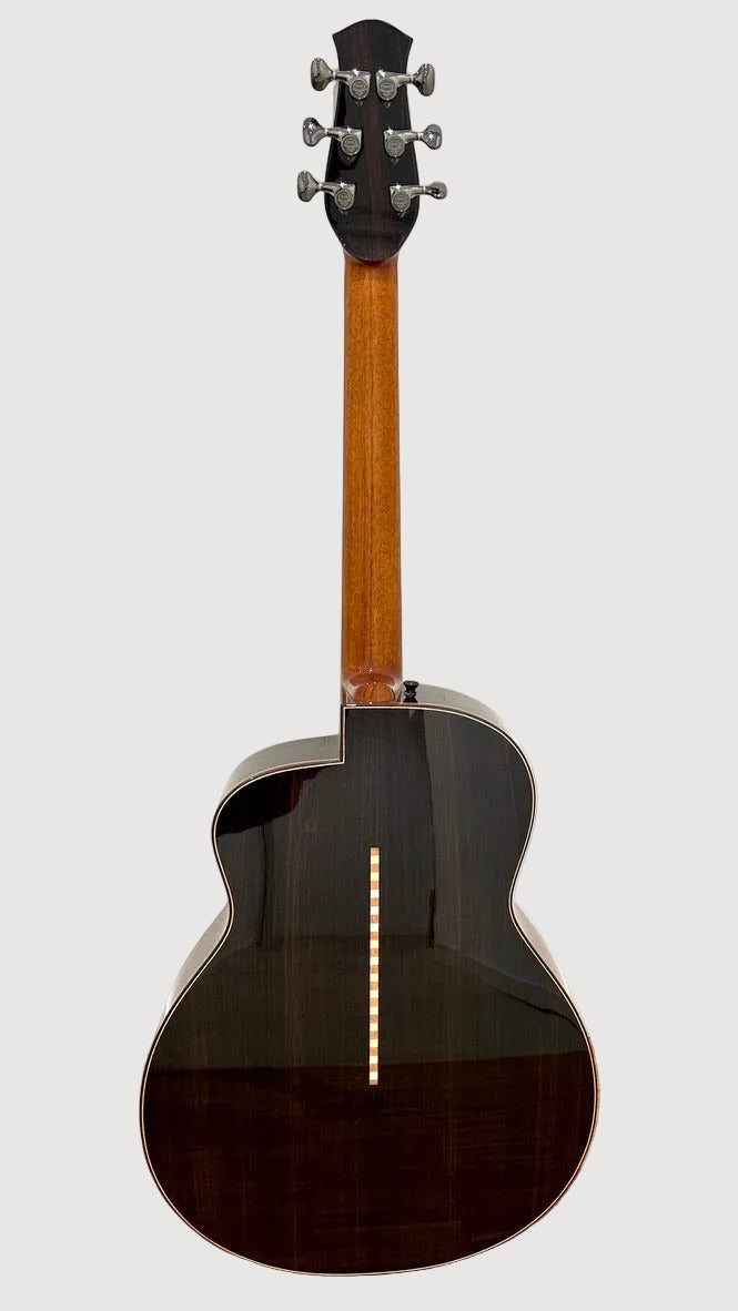 aNueNue LS700E Gitarre