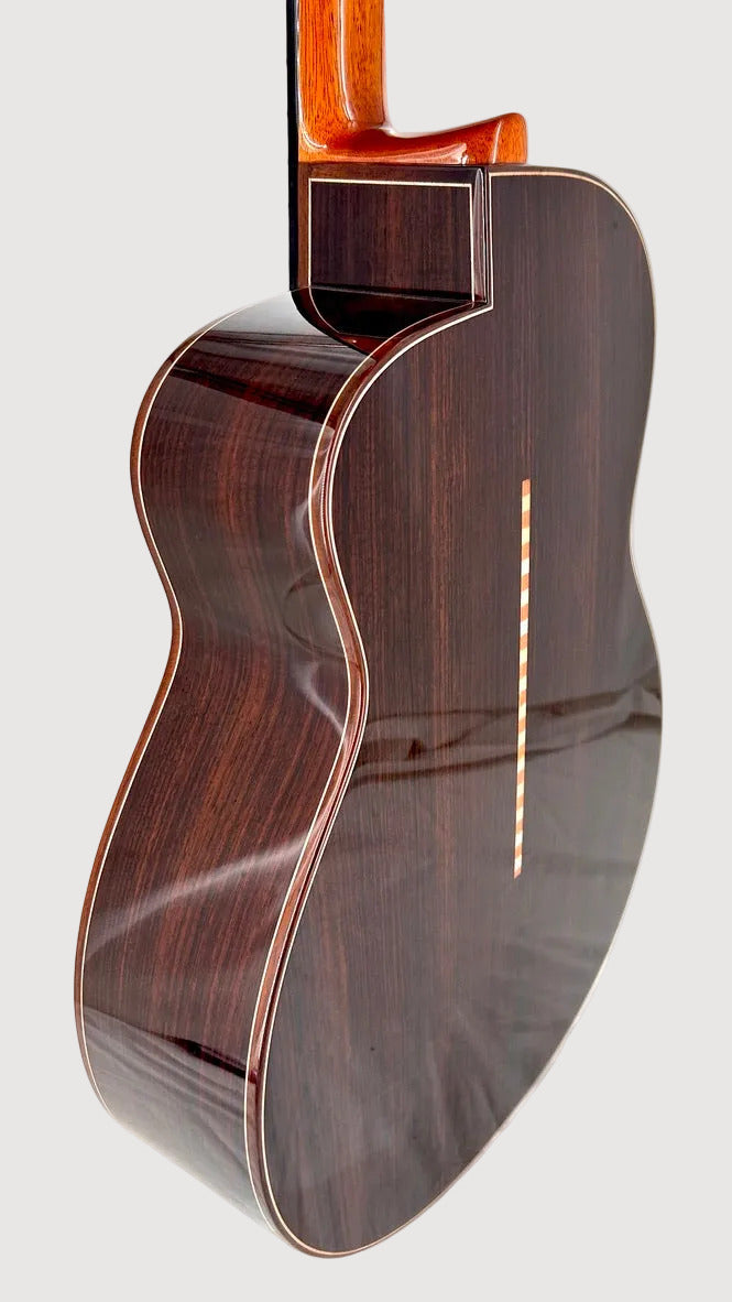 aNueNue LS700E Gitarre