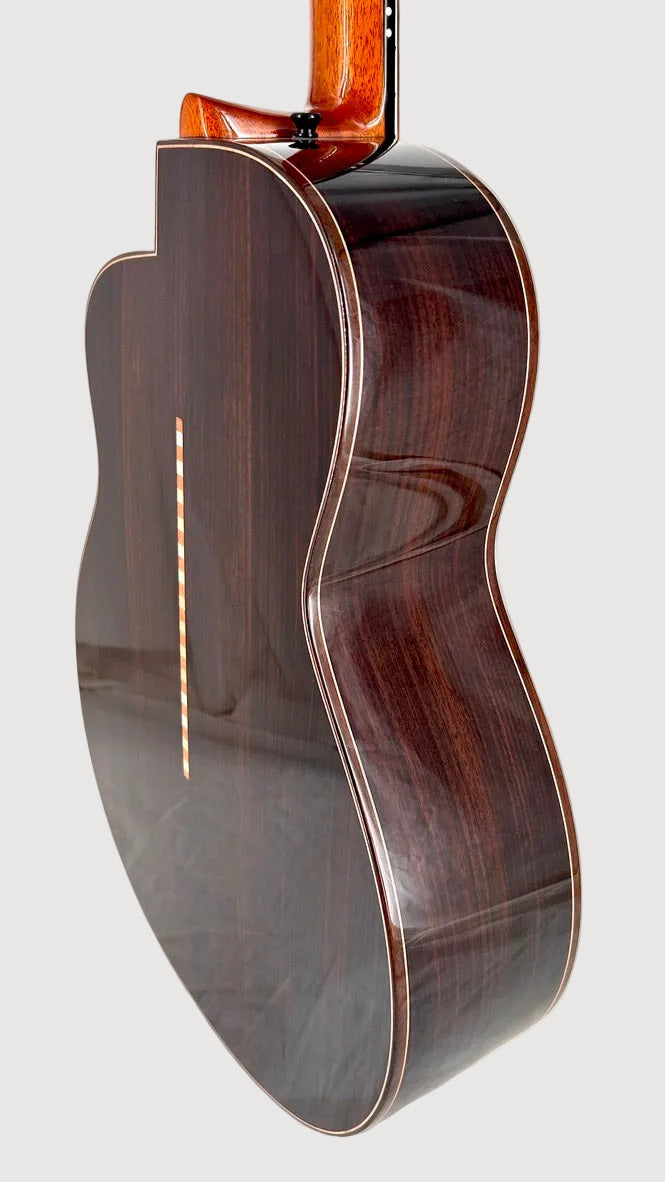 aNueNue LS700E Gitarre