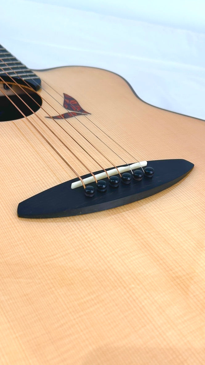 aNueNue LS700E Gitarre