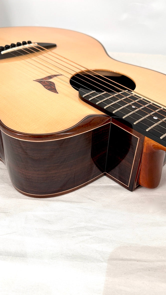 aNueNue LS700E Gitarre