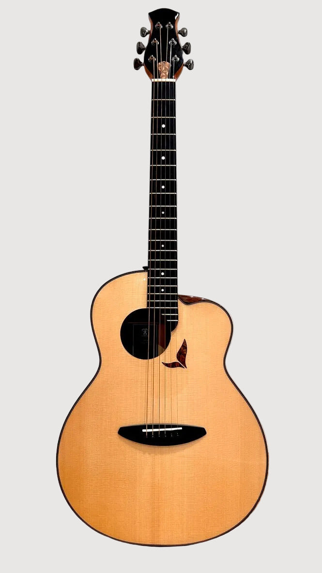 aNueNue LS700E Gitarre