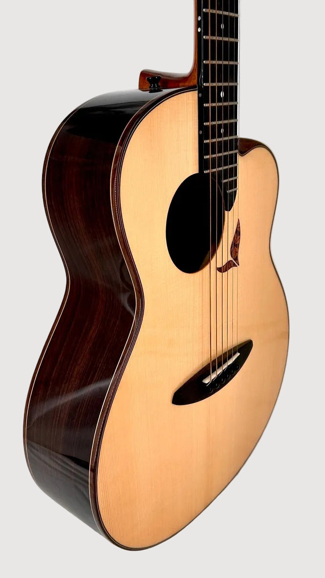 aNueNue LS700E Gitarre