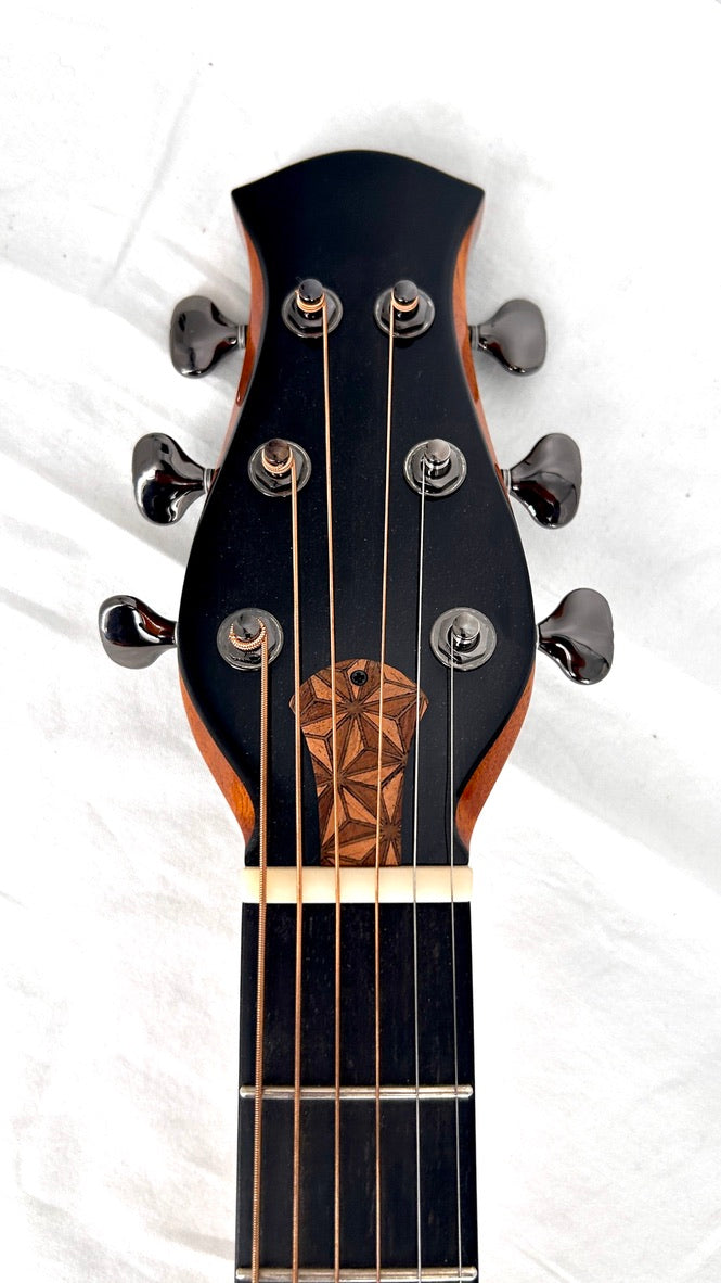 aNueNue LS700E Gitarre