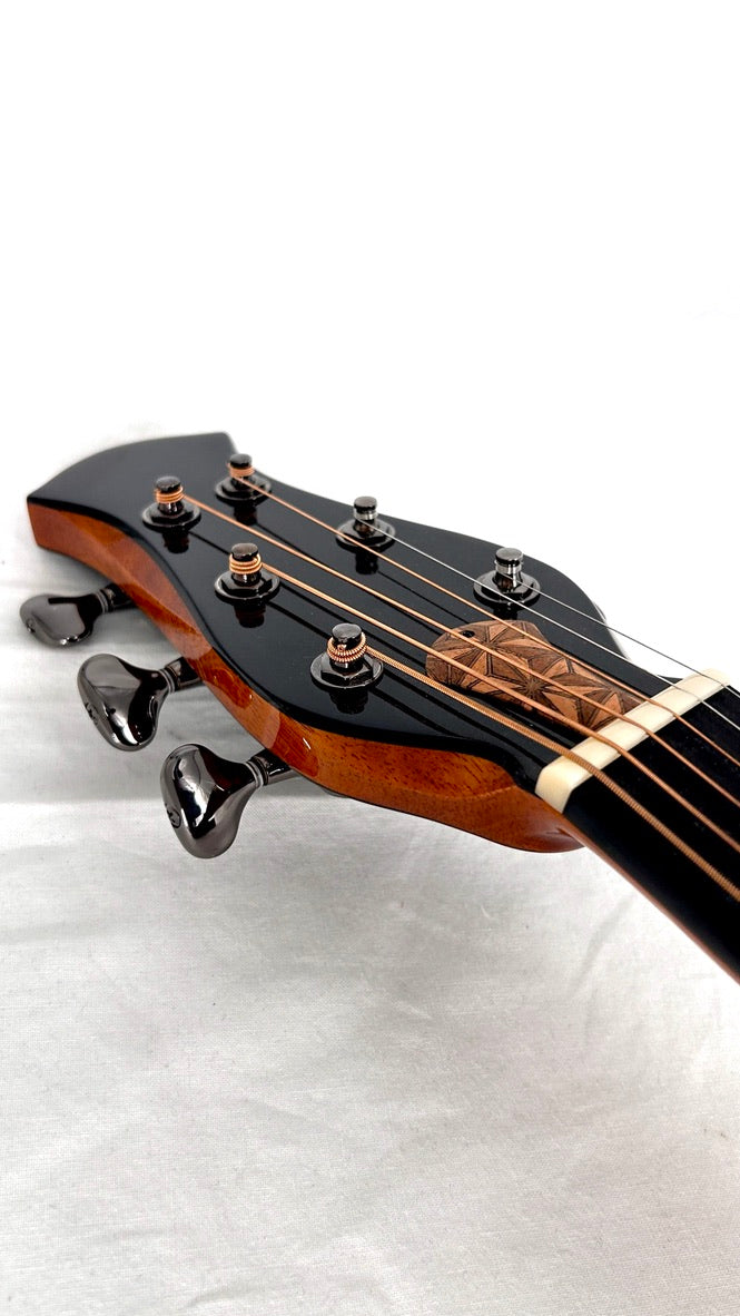 aNueNue LS700E Gitarre