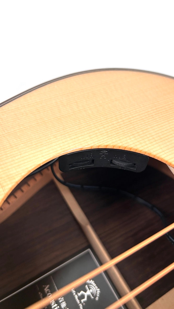 aNueNue LS700E Gitarre