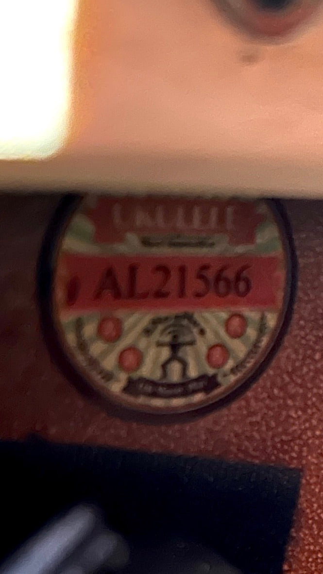 aNueNue LS700E Gitarre