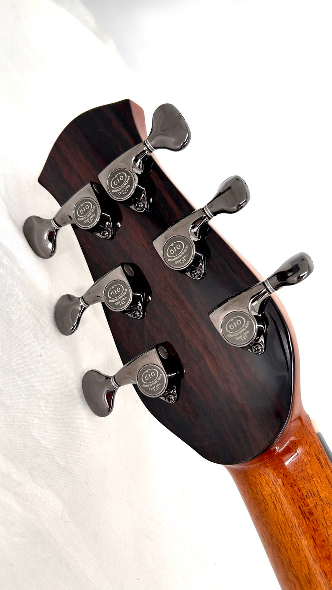aNueNue LS700E Gitarre