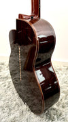 aNueNue LS700E Gitarre