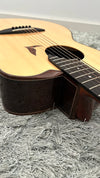aNueNue LS700E Gitarre