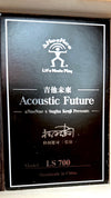 aNueNue LS700E Gitarre
