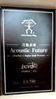 aNueNue LS700E Gitarre