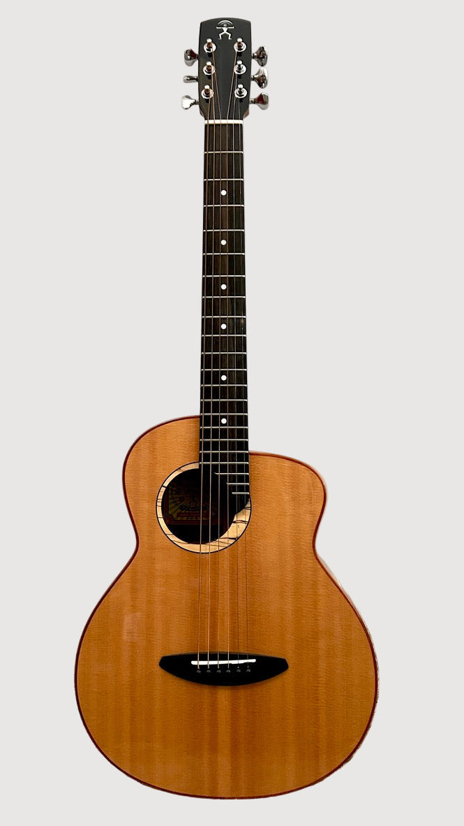aNueNue M100 Travel Guitar