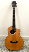 aNueNue M100 Travel Guitar