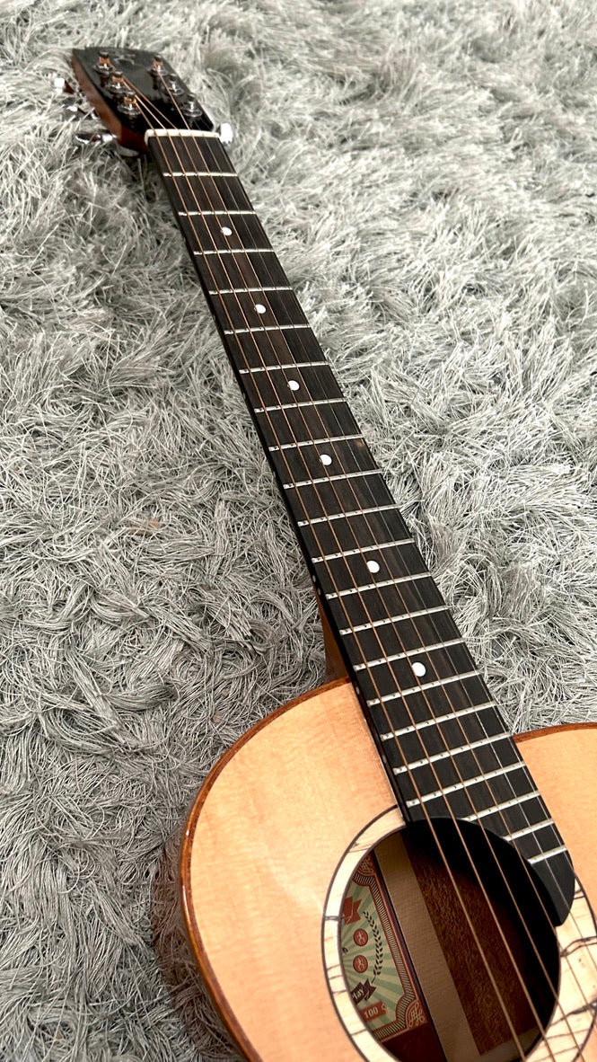 aNueNue M100 Travel Guitar