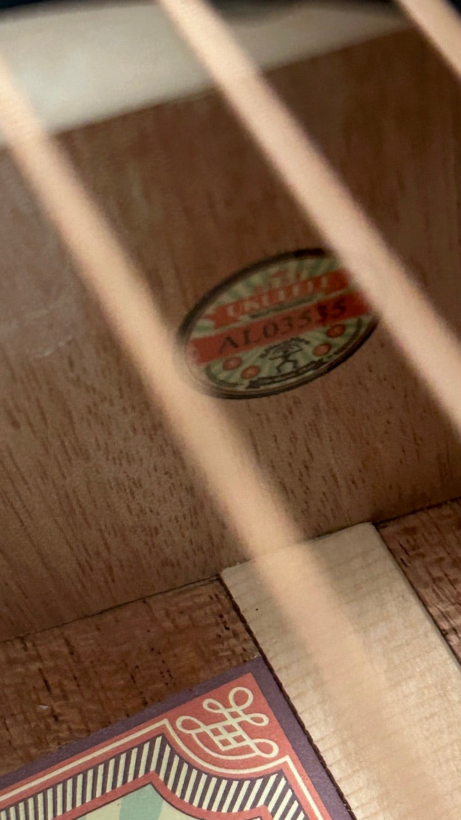 aNueNue M100 Travel Guitar