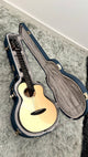 aNueNue M200E Travel Guitar