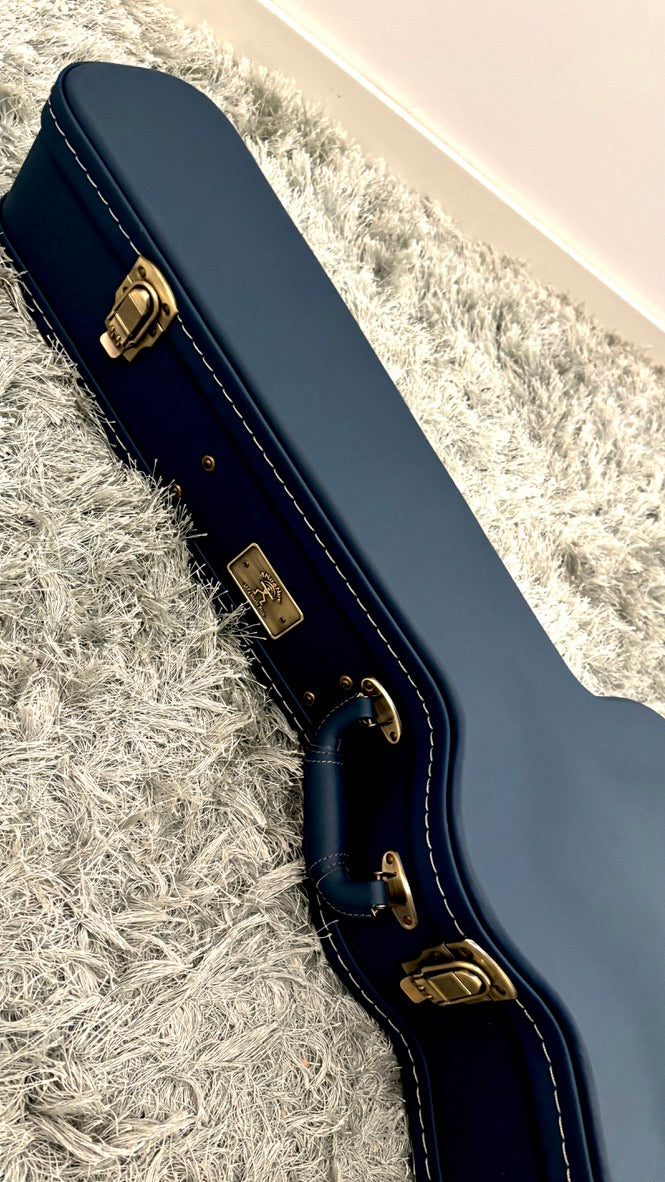 aNueNue LS700E Gitarre