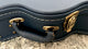 aNueNue M200E Travel Guitar