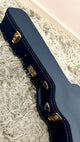 aNueNue M200E Travel Guitar
