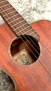 aNueNue M20 Travel Guitar