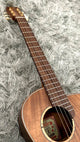aNueNue M30 Travel Guitar