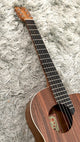 aNueNue M3E Travel Guitar
