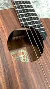 aNueNue M3E Travel Guitar