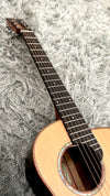 aNueNue M60E Travel Guitar