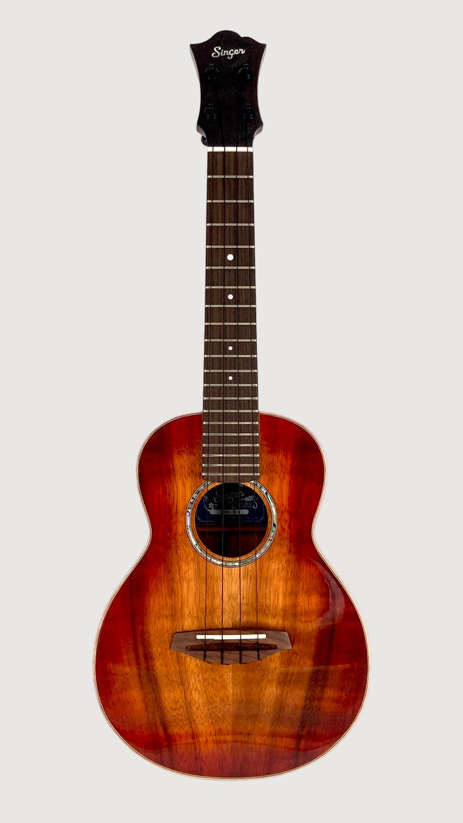 aNueNue Singer RC1K Concert