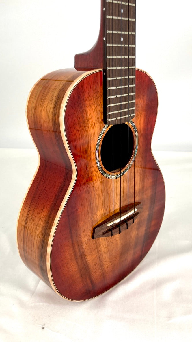 aNueNue Singer RC1K Concert