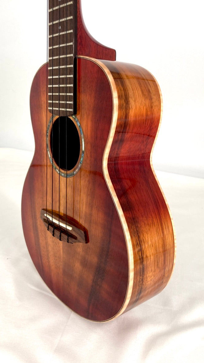 aNueNue Singer RC1K Concert