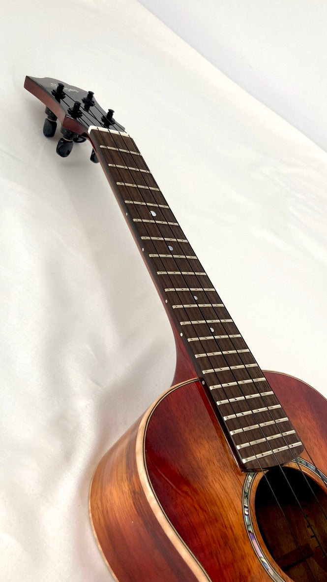 aNueNue Singer RC1K Concert