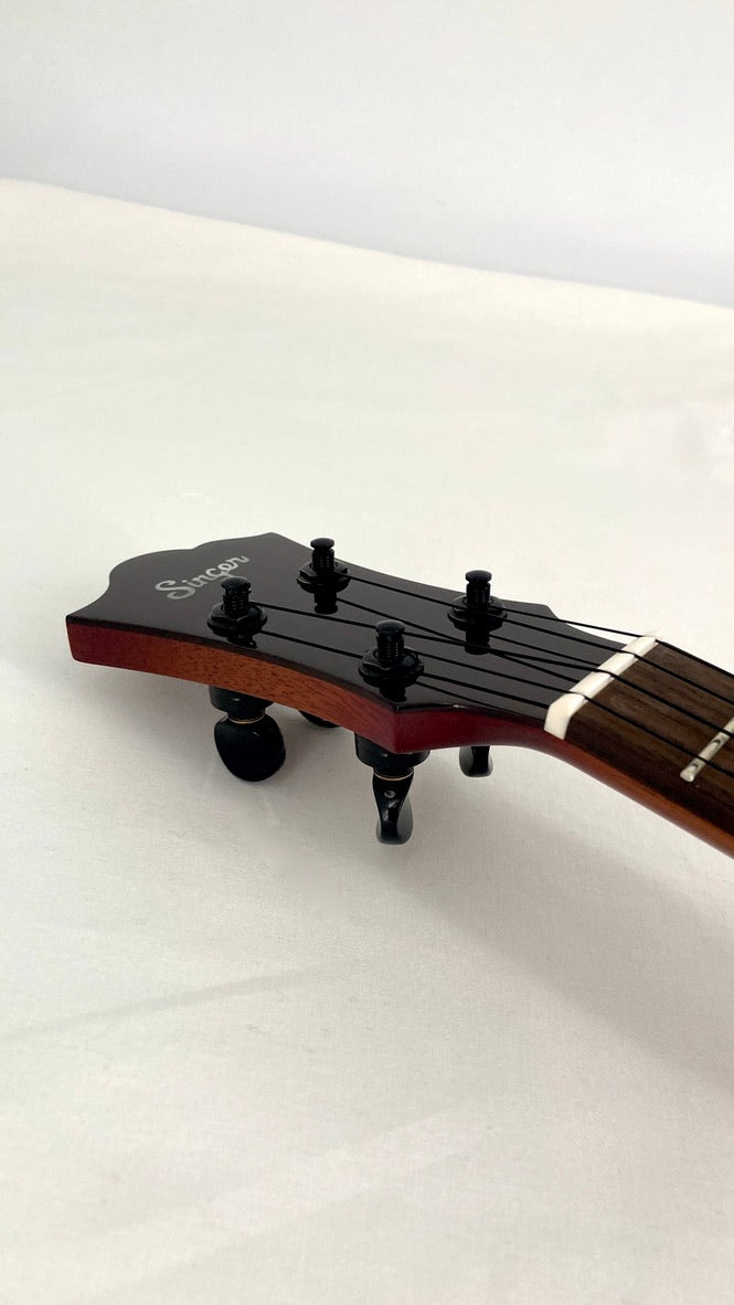 aNueNue Singer RC1K Concert