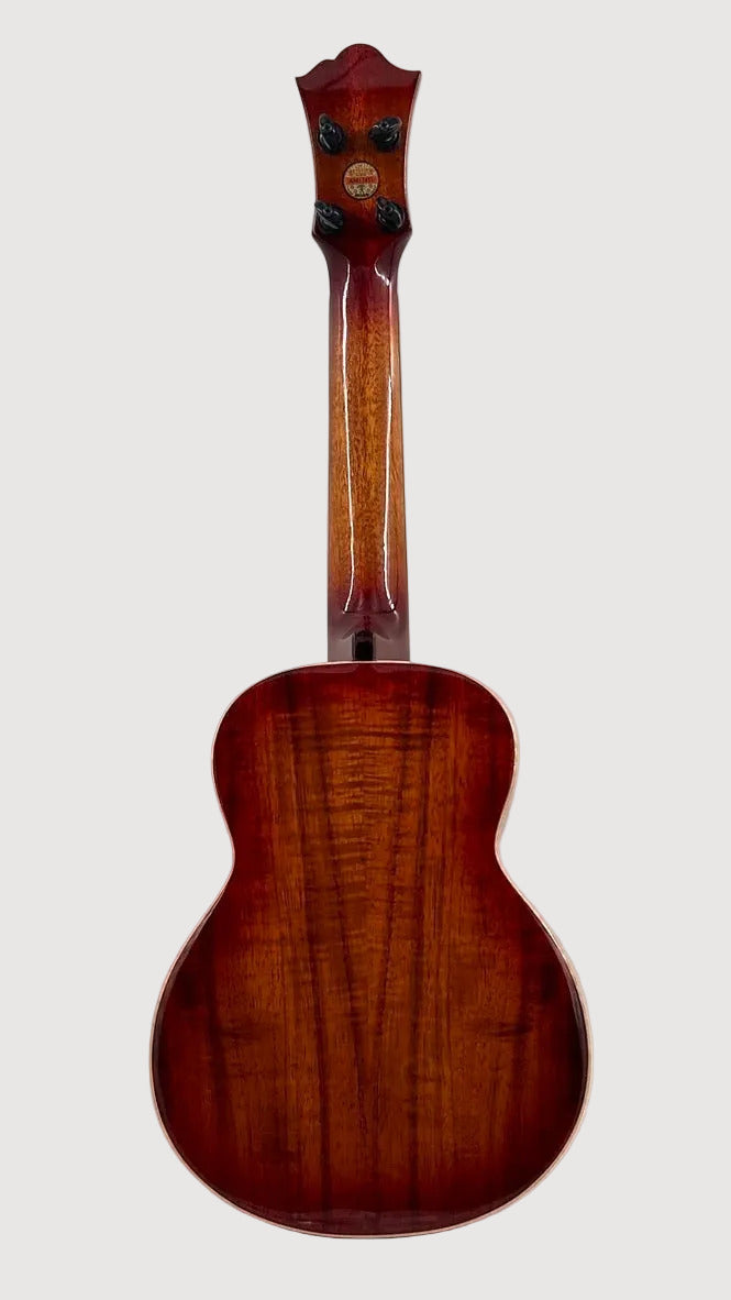 aNueNue Singer RC1K Concert