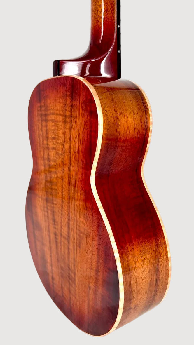 aNueNue Singer RC1K Concert