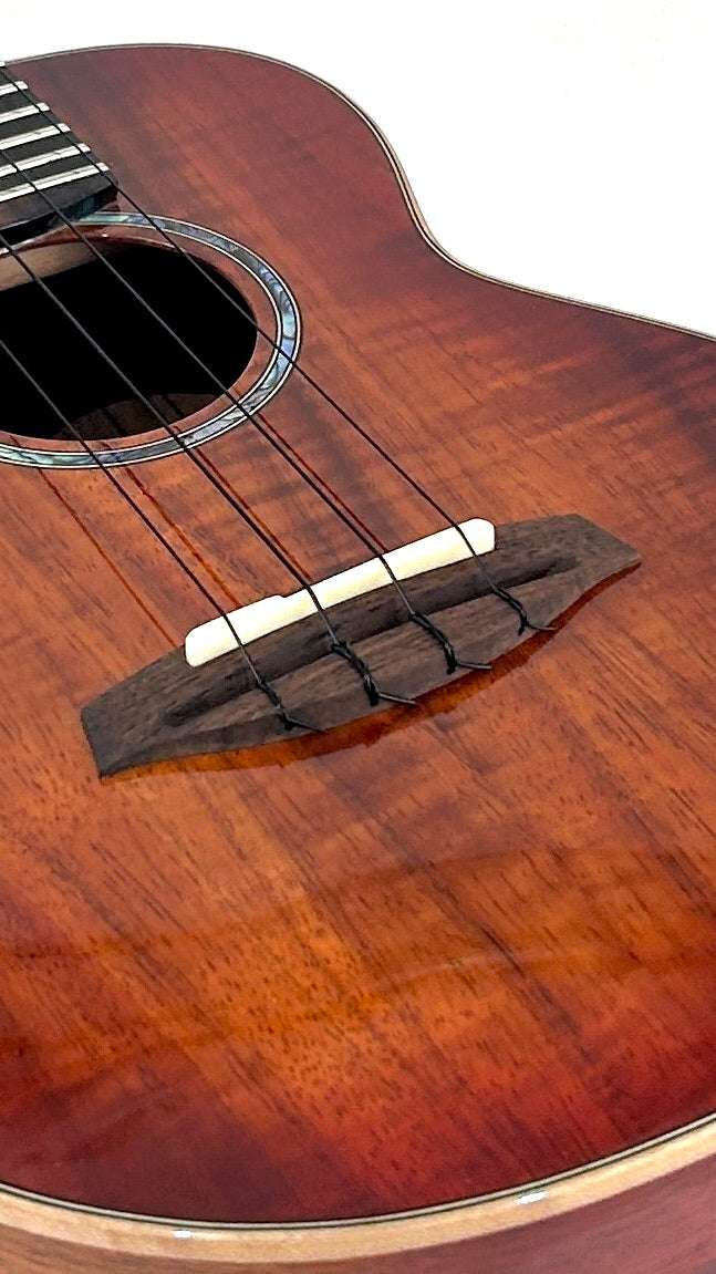 aNueNue Singer RC1K Concert